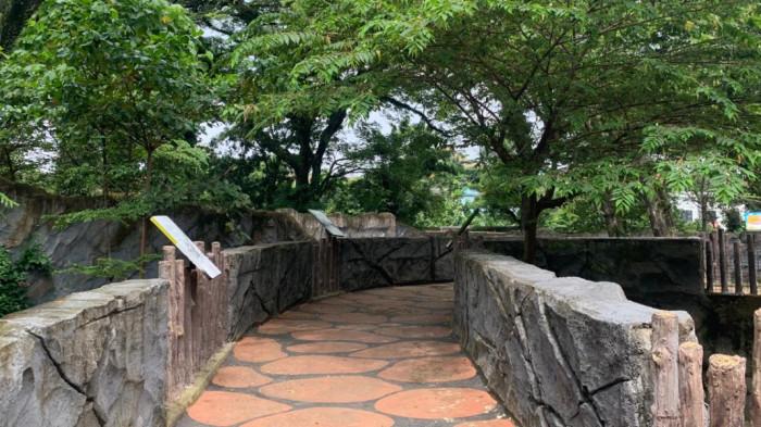 SOLO SAFARI JOGGING TRACK - Inilah satu di antara beberapa spot jogging track yang terdapa di area Solo Safari, Surakarta, Jawa Tengah, pada Selasa (27/1/2026).