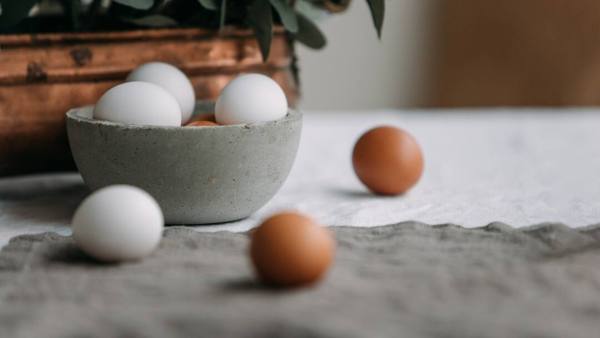 (Image Source: Canva)