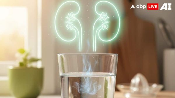 (Image Source: ABPLIVE AI)