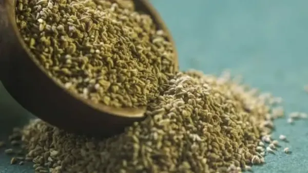 Stomach Pain at Night