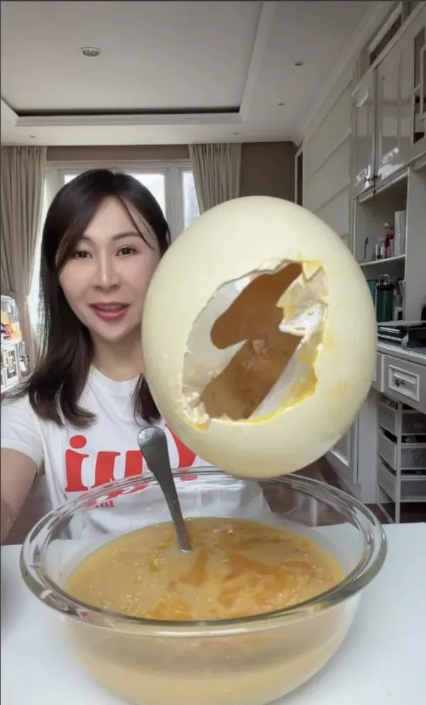 telur burung unta telur burung unta