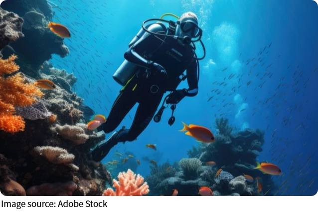 Mergulhos que impressionam