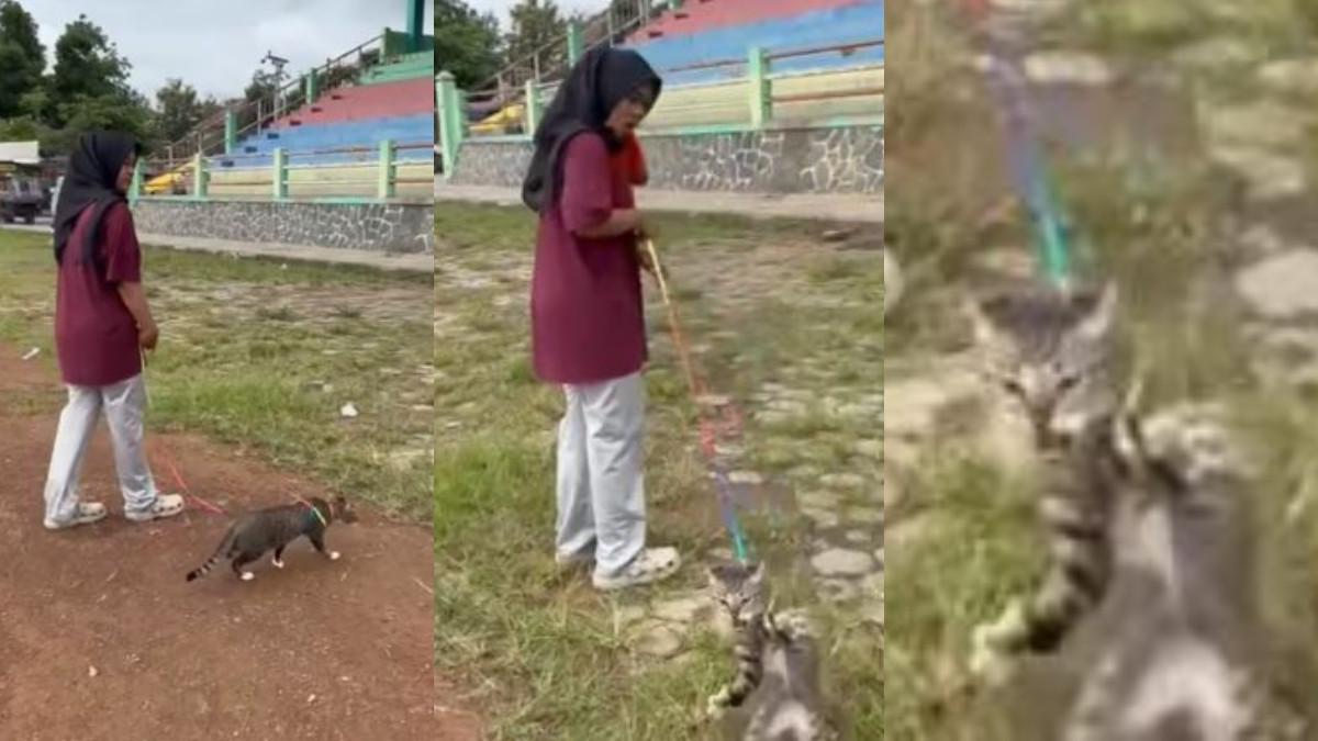 KUCING DITENDANG - Pelaku yang tendang kucing di Lapangan Kridosono Blora, kucingnya stres hingga mati
