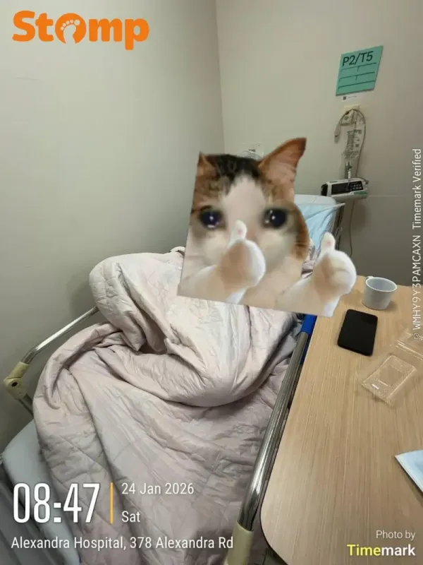 Gegara Makan Nasi Biryani, Wanita Ini Keracunan Sampai 8 Kali Muntah!