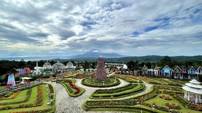 Dari spot foto instagramable hingga wahana seru, semua ada di Taman Bunga Celosia!