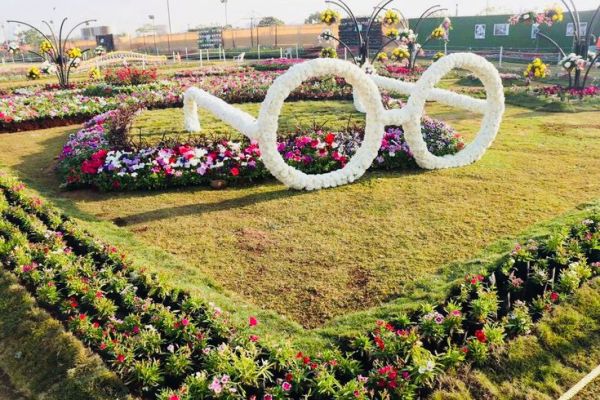 This may contain: a heart shaped flower bed with flowers in the shape of an olympic symbol on it