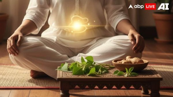 (Image Source: ABPLIVE AI)