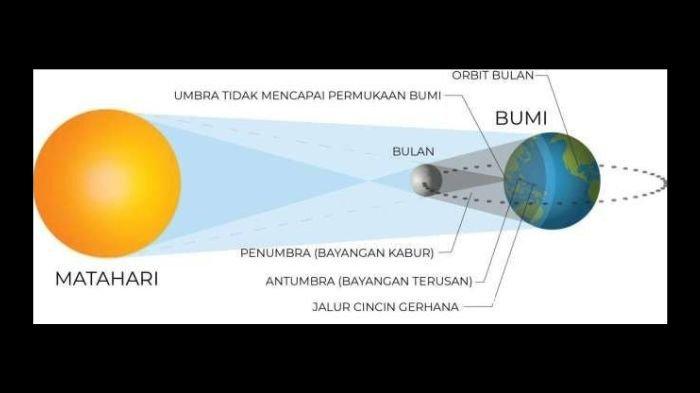 GERHANA MATAHARI CINCIN - Gambaran proses terjadinya Gerhana Matahari Cincin.