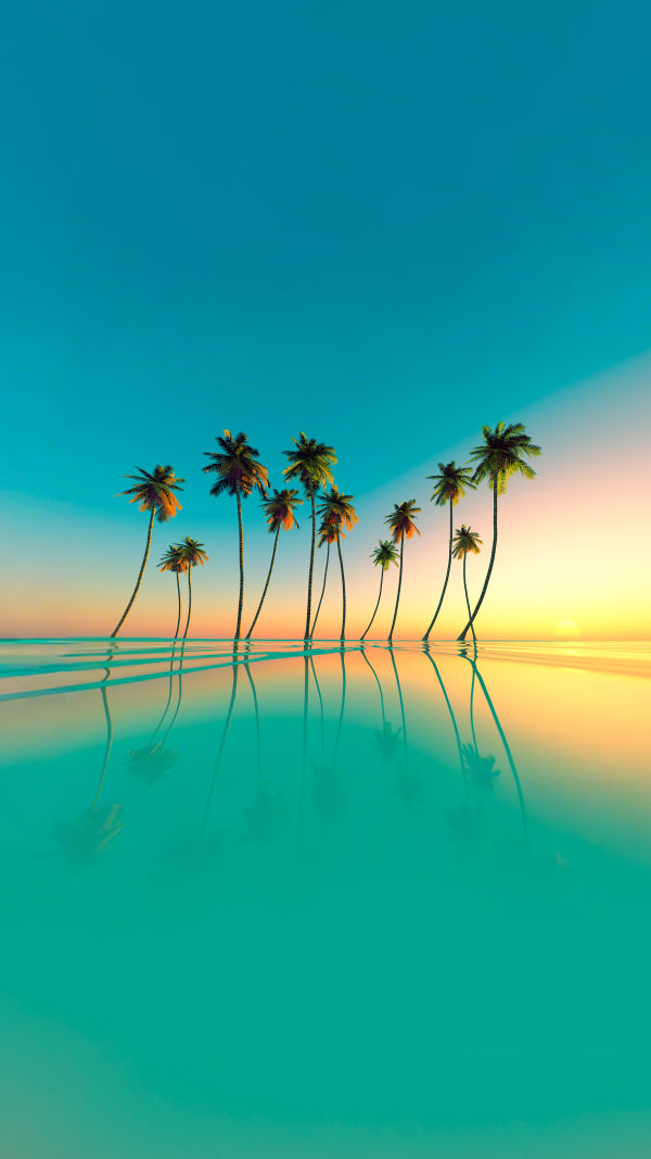 Top 10 Tropical Beaches