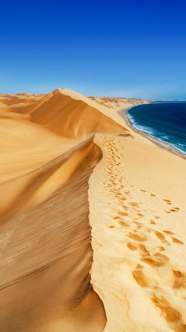 Golden Ocean Dunes