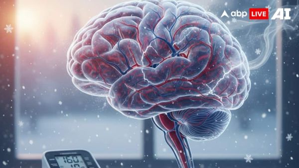 (Image Source: ABPLIVE AI)