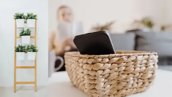 This image is a split-focus shot showcasing two elements of modern, functional home decor and storage.