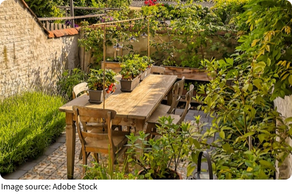 Transformasi Lahan Belakang