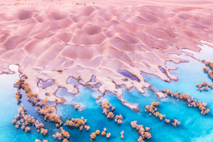 How Deserts Take Shape