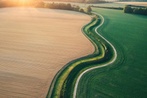 Small Grain, Big Story