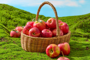 Why Apples Are Amazing