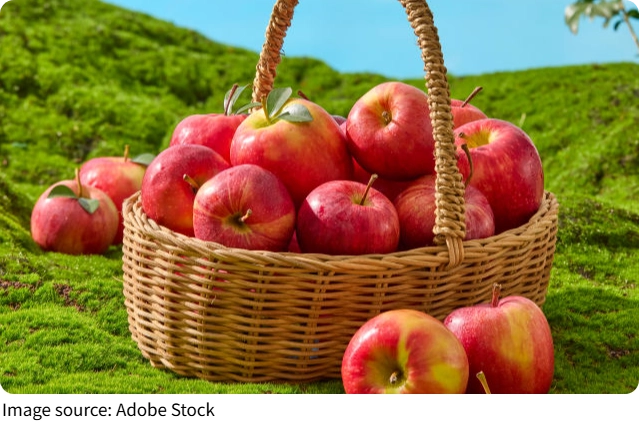 Healthy Seasonal Apples