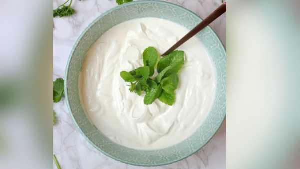 Curd Eating Tips