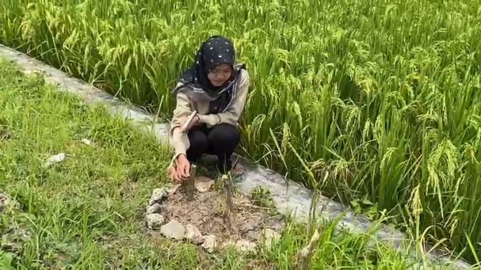 KUBURAN MINTEL: Firda saat menunjukkan kuburan Mintel di sawah, Kamis (5/2/2026). (TRIBUN JATENG/M IQBAL SHUKRI)