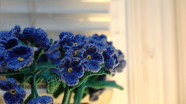 (Image Source: Canva)