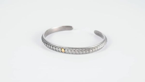 (Image Source: Canva)