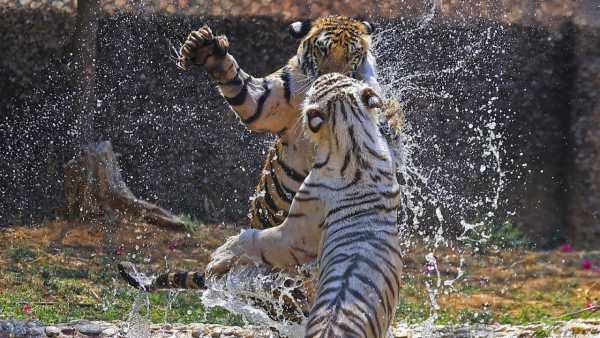 Feb Maximum Temperature Raising In Delhi Ncr