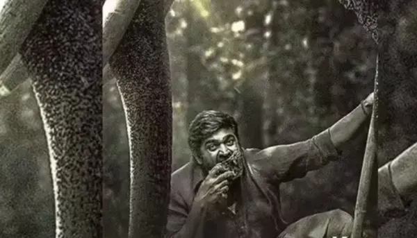 New OTT releases this week (Feb 9–15) on Netflix, JioHotstar, ZEE5 and SonyLIV