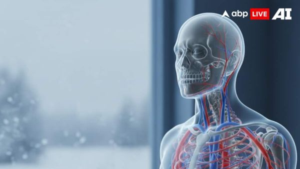 (Image Source: ABPLIVE AI)