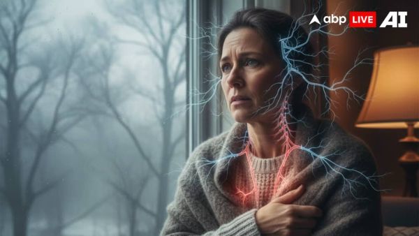 (Image Source: ABPLIVE AI)