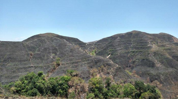 Hamparan padang rumput di Bukit Mondu terlihat terbakar semua.