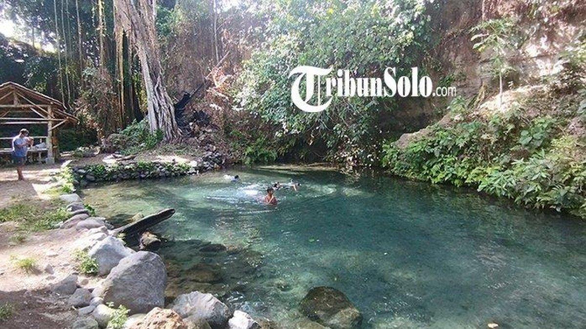 WISATA AIR - Potret Umbul Kroman disadur dari TribunSolo.com pada Rabu (9/4/2025). Umbul Kroman berada di Desa Mranggen, Kecamatan Jatinom, Klaten.