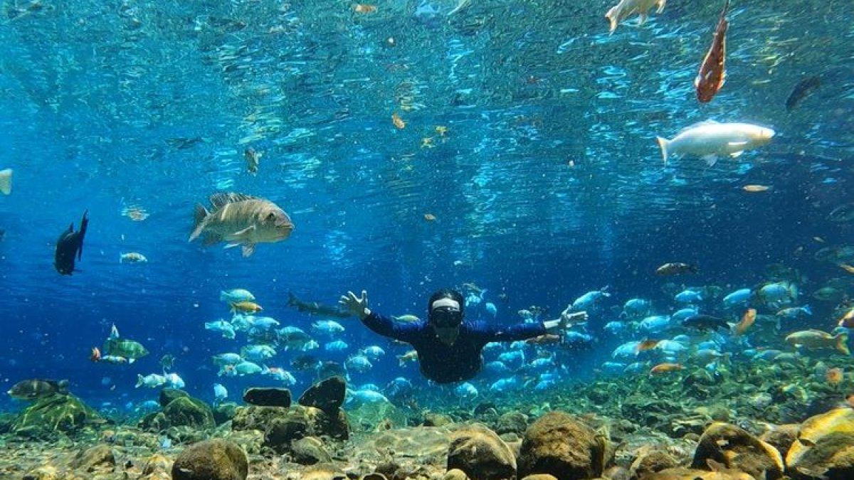 PESONA WISATA KLATEN - Belajar snorkeling dan menyelam di Umbul Ponggok Klaten.