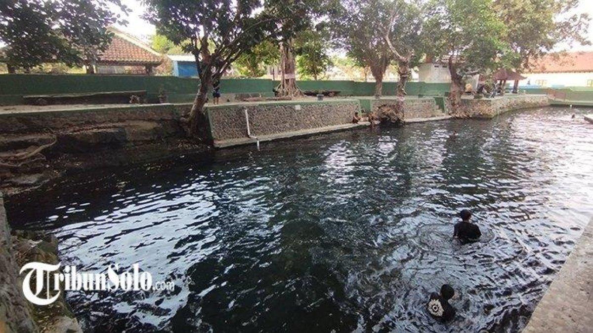 WISATA AIR - Potret Umbul Gedaren disadur dari TribunSolo.com pada Kamis (6/3/2025). Umbul Gedaren berada di Desa Gedaren, Jatinom, Klaten.