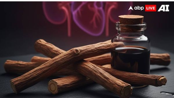 (Image Source: ABPLIVE AI)