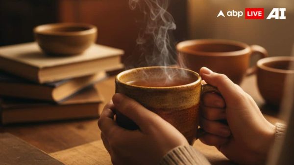 (Image Source: ABPLIVE AI)