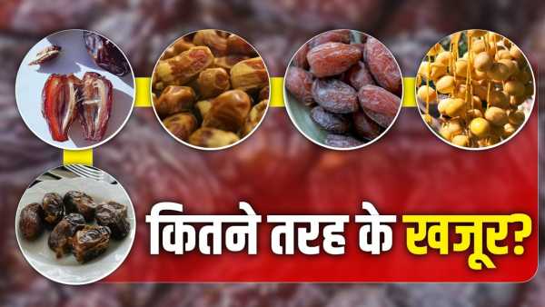 From Ajwa to Medjool Noor…different varieties of dates, which one to eat during Sehri and Iftari?