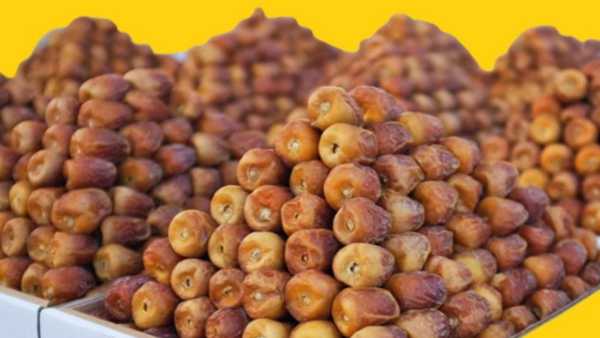 Shukkari Khajoor