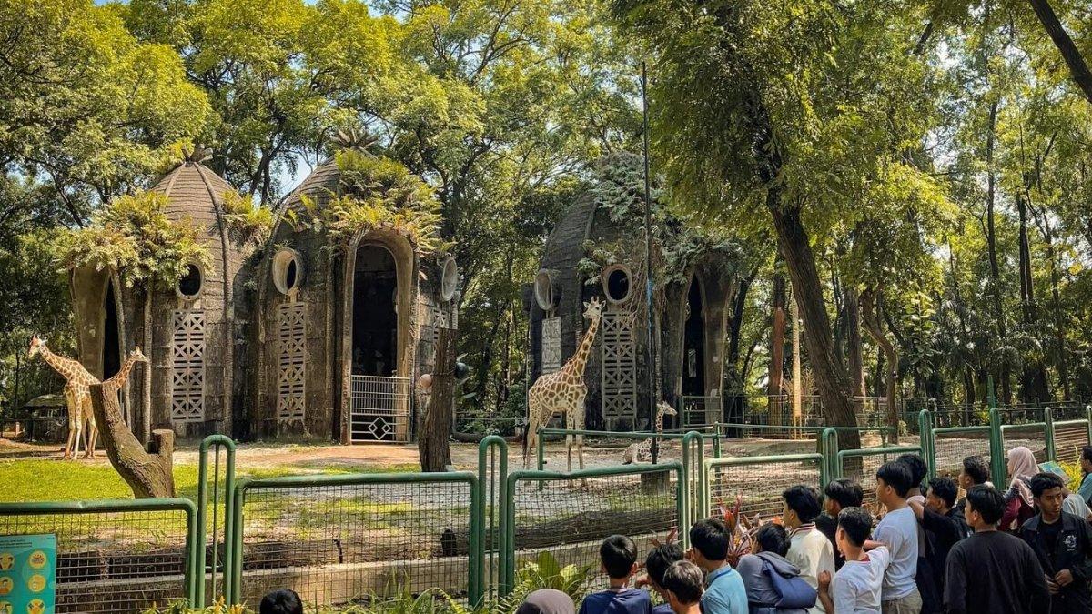 Kebun Binatang Ragunan, tempat wisata di Jalan Harsono RM. No. 1, Ragunan, Pasar Minggu, Jakarta Selatan, Jakarta.