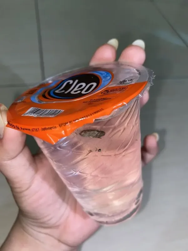 Duh! Netizen Temukan Kecoak Mengambang dalam Air Mineral Gelas