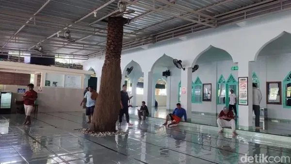 Ppohon kurma di dalam Masjid Bahari di Pelabuhan Benoa, Denpasar Selatan, Sabtu (21/2/2026). (Ahmad Firizqi Irwan/detikBali) Ppohon kurma di dalam Masjid Bahari di Pelabuhan Benoa, Denpasar Selatan, Sabtu (21/2/2026). (Ahmad Firizqi Irwan/detikBali)