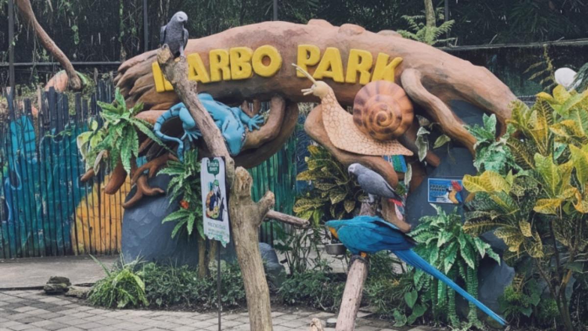 Ibarbo Park, tempat wisata sekaligus pusat oleh-oleh di Jogja yang menarik untuk dikunjungi.