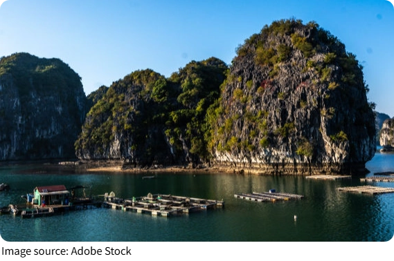 Cát Bà Island Guide