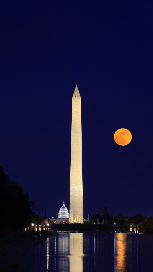 Washington's Hidden Freebies