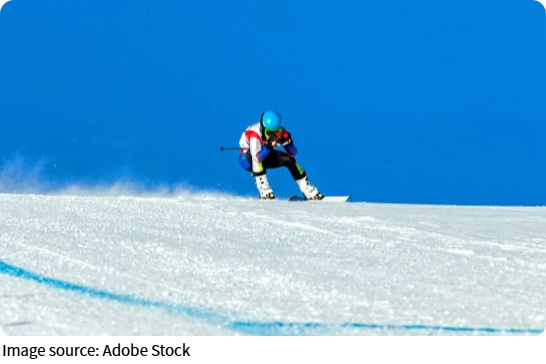 Alpine Ski Control