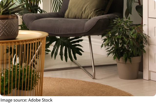 Trang Trí Phòng Bằng Cây