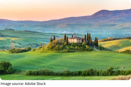 Tuscan Vineyard Landscapes