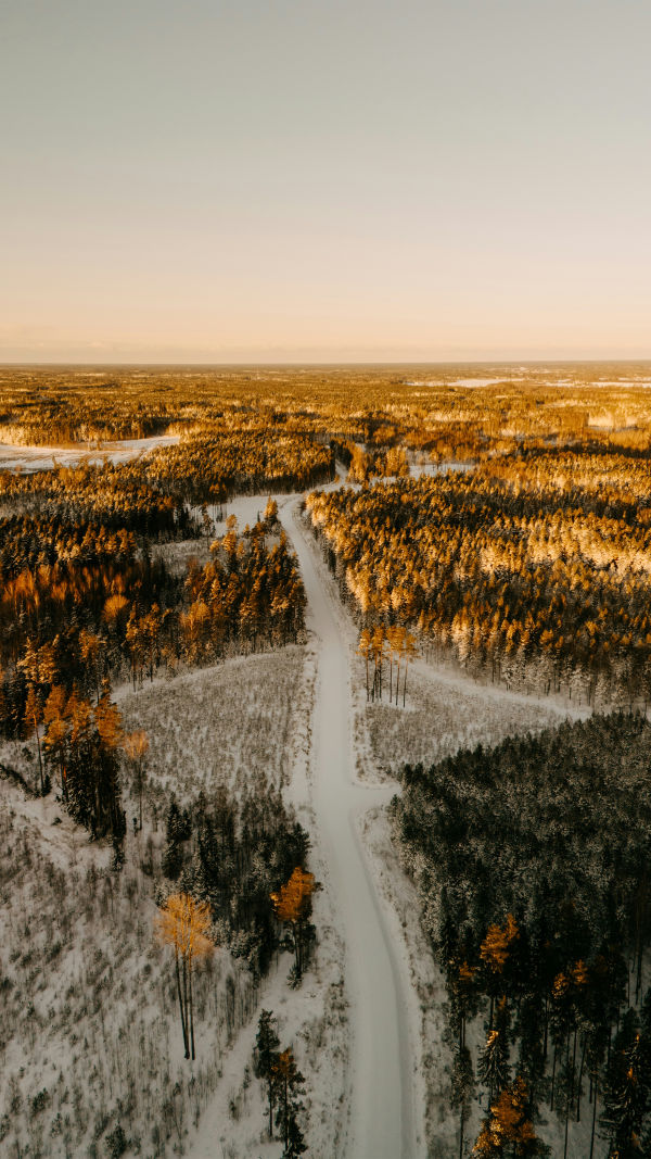 Exploring Magical Lapland
