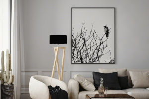 Light Tricks That Calm You