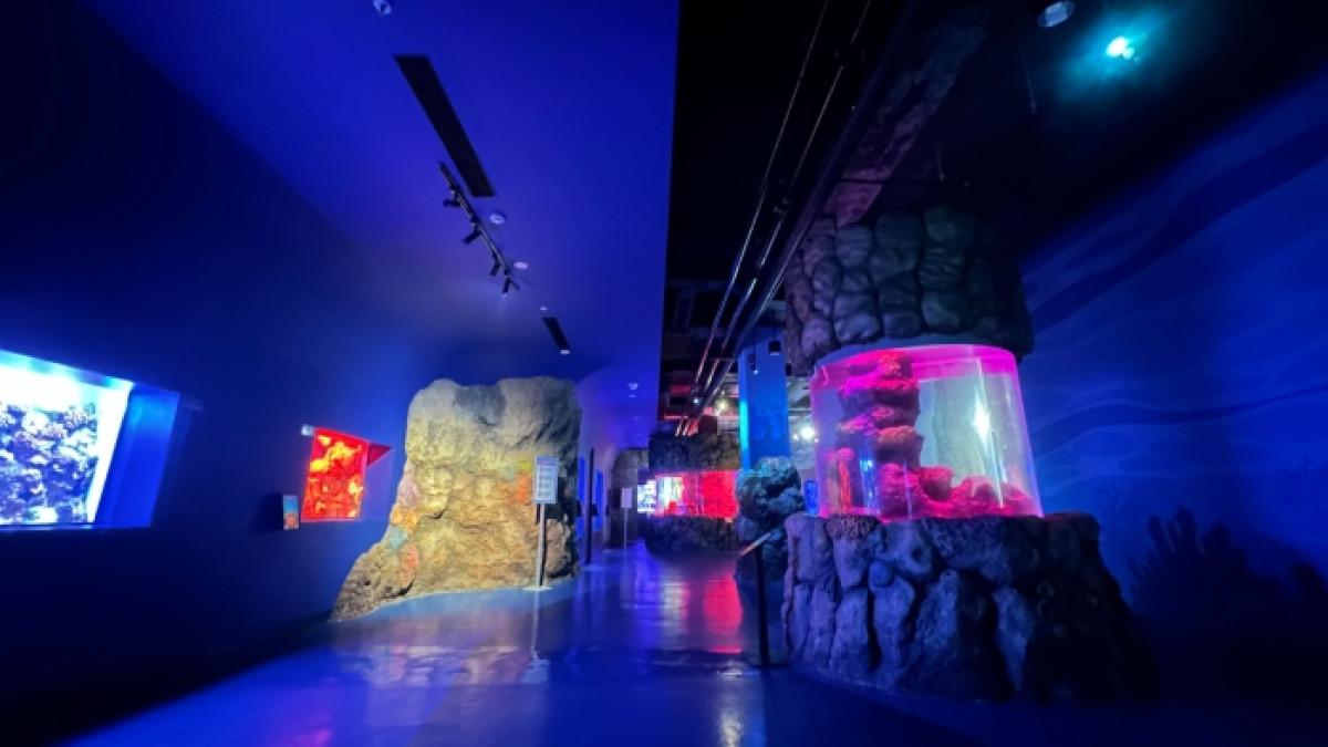 BXSea Bintaro, tempat wisata di Bintaro Tangerang, Banten untuk liburan akhir pekan.