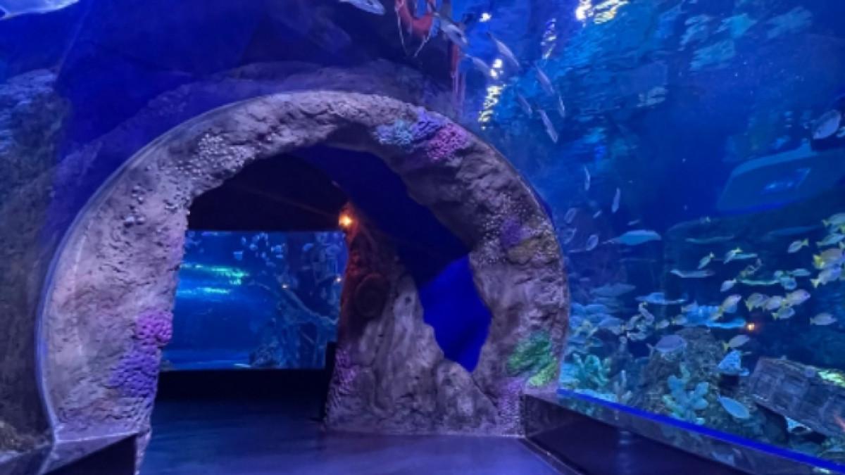 BXSea Bintaro, tempat wisata di Bintaro Tangerang, Banten untuk liburan akhir pekan.